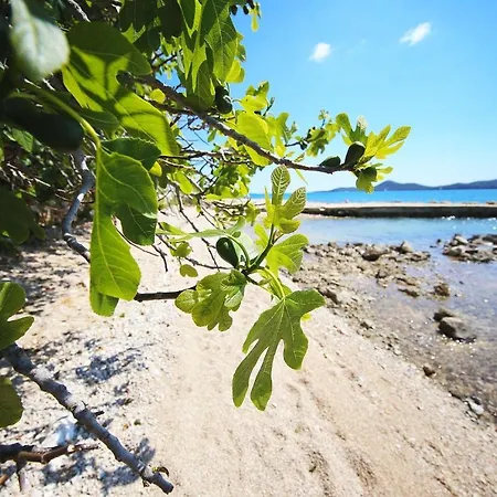 בית נופש Mobile Opal 1