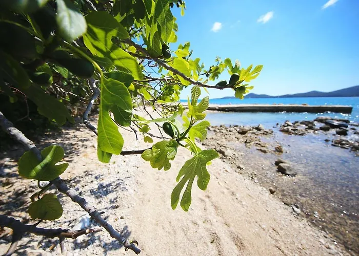 בית נופש Mobile Opal 1